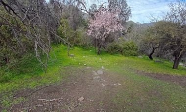 Parcela en Venta en Camino El Volcan 4639 El Canelo