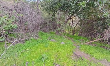 Parcela en Venta en Camino El Volcan 4639 El Canelo