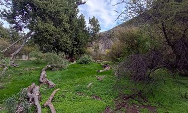 Parcela en Venta en Camino El Volcan 4639 El Canelo