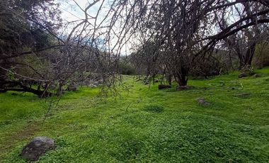 Parcela en Venta en Camino El Volcan 4639 El Canelo