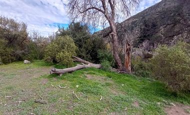 Parcela en Venta en Camino El Volcan 4639 El Canelo