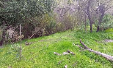 Parcela en Venta en Camino El Volcan 4639 El Canelo