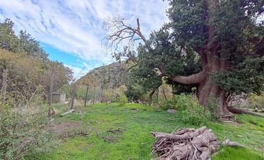 Parcela en Venta en Camino El Volcan 4639 El Canelo