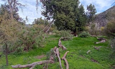 Parcela en Venta en Camino El Volcan 4639 El Canelo