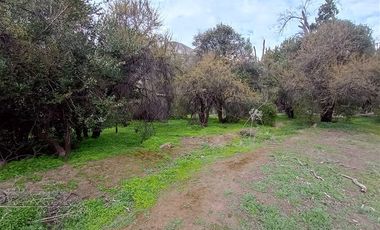 Parcela en Venta en Camino El Volcan 4639 El Canelo