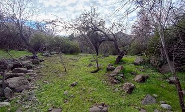 Parcela en Venta en Camino El Volcan 4639 El Canelo
