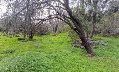 Parcela en Venta en Camino El Volcan 4639 El Canelo