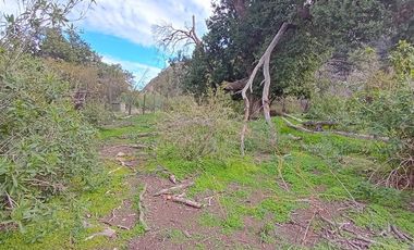 Parcela en Venta en Camino El Volcan 4639 El Canelo