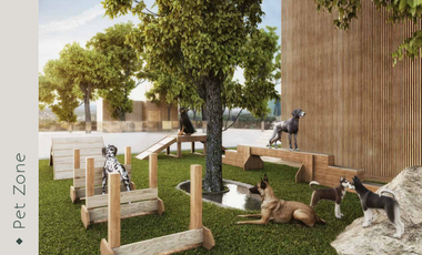 Departamento en Preventa en Álvaro Obregón, CDMX