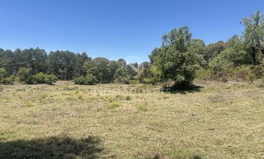 Rancho en Venta