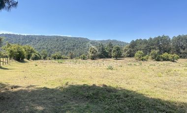 Rancho en Venta