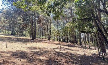 Rancho en Venta