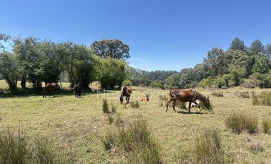 Rancho en Venta