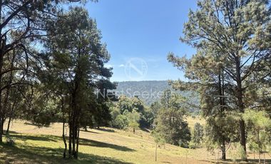 Rancho en Venta