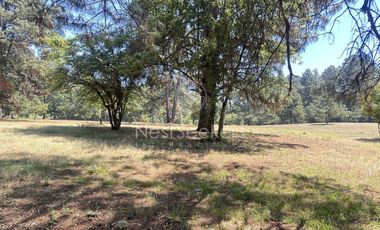 Rancho en Venta