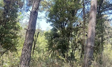 Rancho en Venta