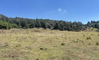 Rancho en Venta