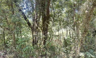 Rancho en Venta