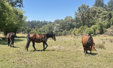 Rancho en Venta
