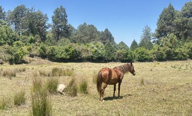 Rancho en Venta