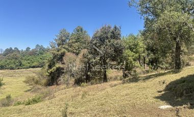 Rancho en Venta