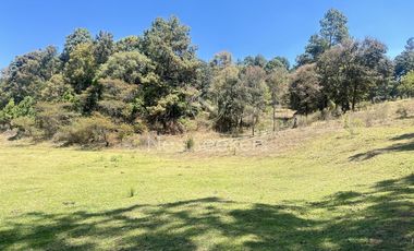 Rancho en Venta