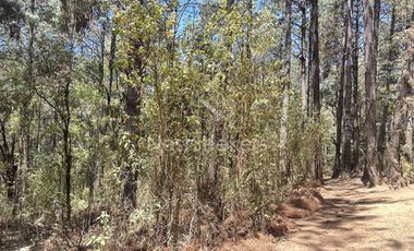 Rancho en Venta