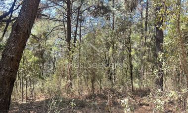 Rancho en Venta