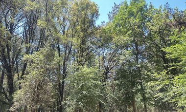 Rancho en Venta