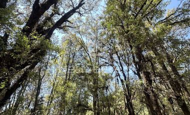 Rancho en Venta