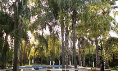 RANCHO EN VENTA EN MONTEMORELOS