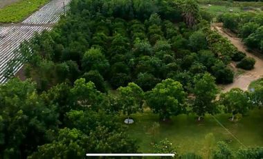 RANCHO EN VENTA EN MONTEMORELOS