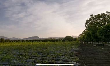 RANCHO EN VENTA EN MONTEMORELOS