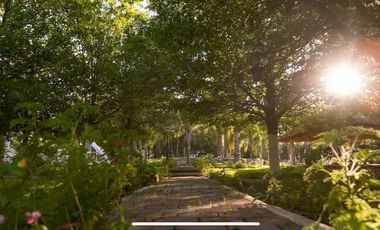 RANCHO EN VENTA EN MONTEMORELOS