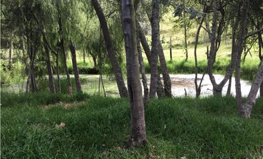 Finca  Autosotenible El Manantial