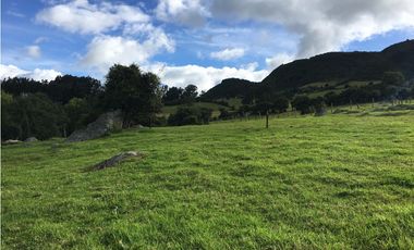 Finca  Autosotenible El Manantial