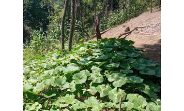 Finca En Ciénaga Colombia Con Registro En Agencia Nacional De Tierra
