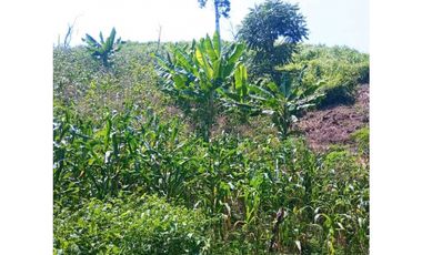 Finca En Ciénaga Colombia Con Registro En Agencia Nacional De Tierra