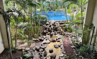 Departamento - Chapultepec