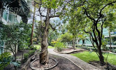 Departamento - Chapultepec
