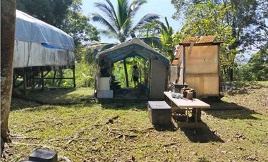 VENTA ISLA EXCLUSIVA EN BOCAS DEL TORO 10 HECTAREAS PROYECTO TURISTICO