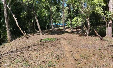 VENTA ISLA EXCLUSIVA EN BOCAS DEL TORO 10 HECTAREAS PROYECTO TURISTICO