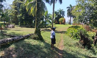 VENTA ISLA EXCLUSIVA EN BOCAS DEL TORO 10 HECTAREAS PROYECTO TURISTICO