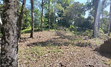 VENTA ISLA EXCLUSIVA EN BOCAS DEL TORO 10 HECTAREAS PROYECTO TURISTICO