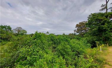 VENTA FINCA O TERRENO EN BOCAS DEL TORO ISLA COLON 3.5 HECTREAS