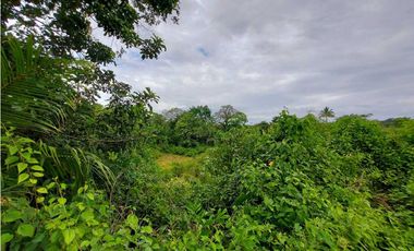VENTA FINCA O TERRENO EN BOCAS DEL TORO ISLA COLON 3.5 HECTREAS