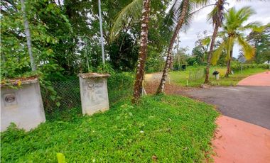 VENTA FINCA O TERRENO EN BOCAS DEL TORO ISLA COLON 3.5 HECTREAS