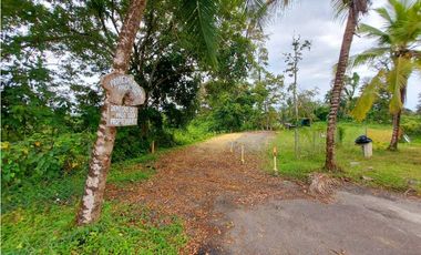 VENTA FINCA O TERRENO EN BOCAS DEL TORO ISLA COLON 3.5 HECTREAS