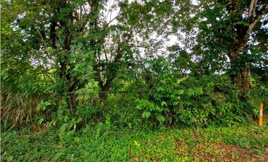 VENTA FINCA O TERRENO EN BOCAS DEL TORO ISLA COLON 3.5 HECTREAS