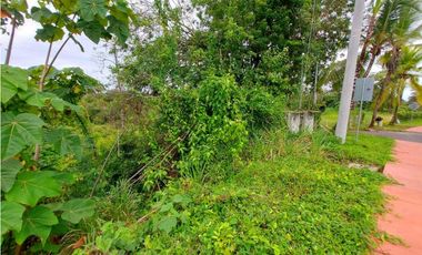 VENTA FINCA O TERRENO EN BOCAS DEL TORO ISLA COLON 3.5 HECTREAS